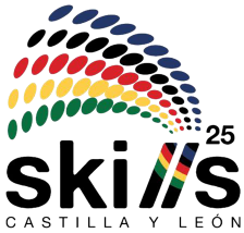 logo-skills-25-1